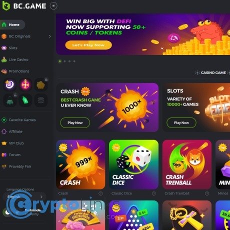 Exploring the BC App Casino A Comprehensive Guide -165185155