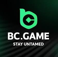 Top Alternatives to BC.Game Exploring Your Options